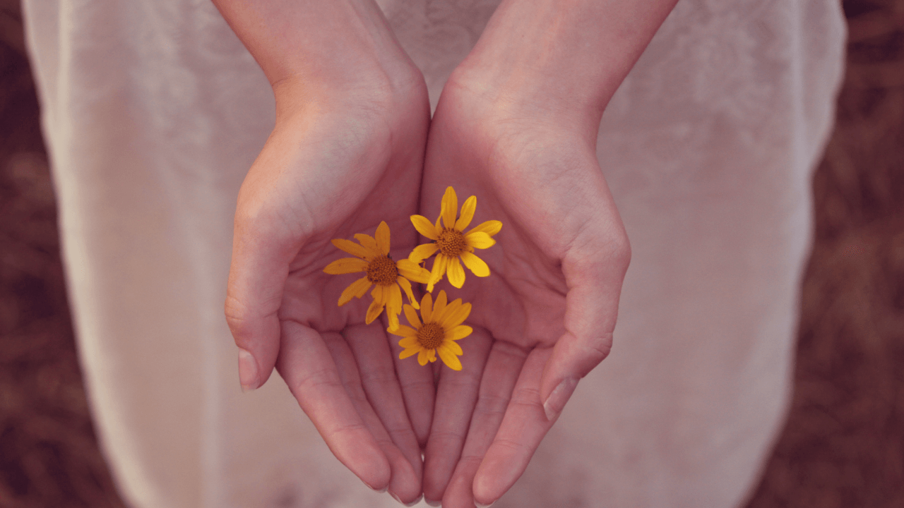 bem-estar físico e emocional