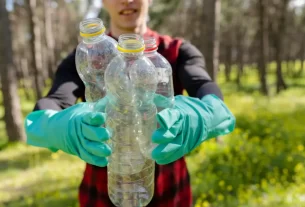 responsabilidade ambiental