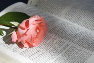 Uma Bíblia com uma rosa dentro para simbolizar o perfume de redenção