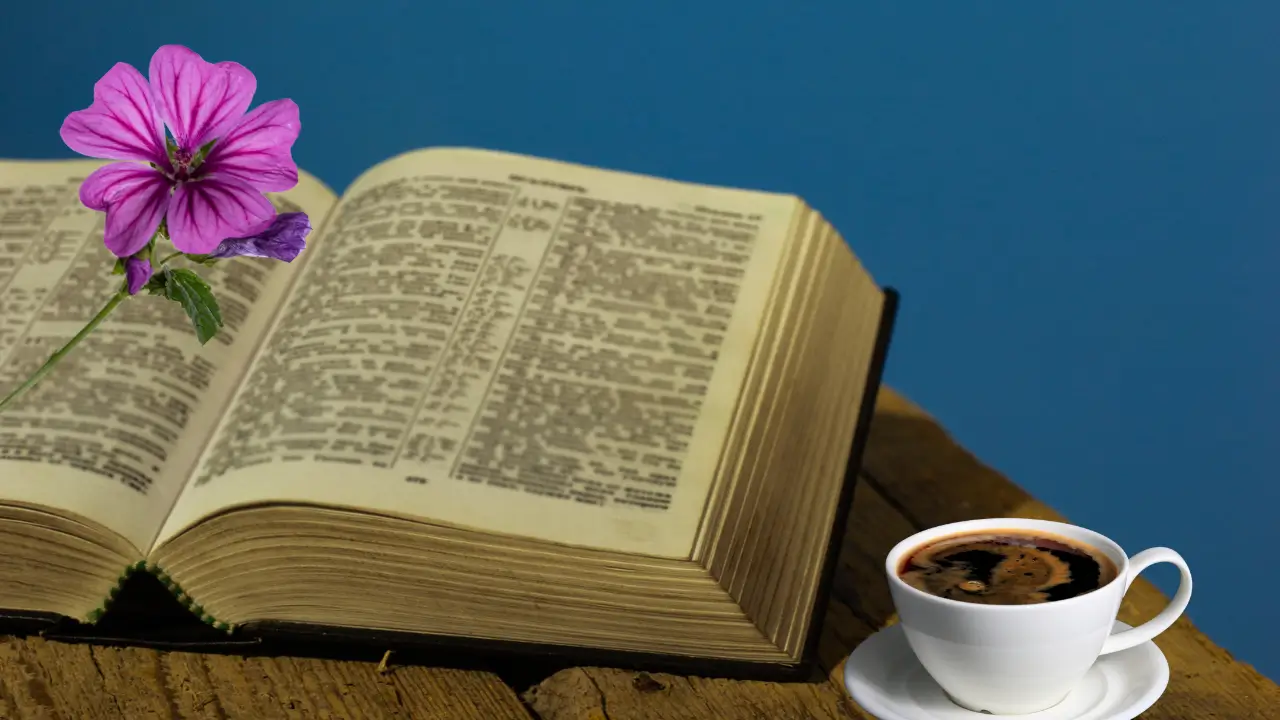 uma Bíblia indicando versículos´para memorizar.