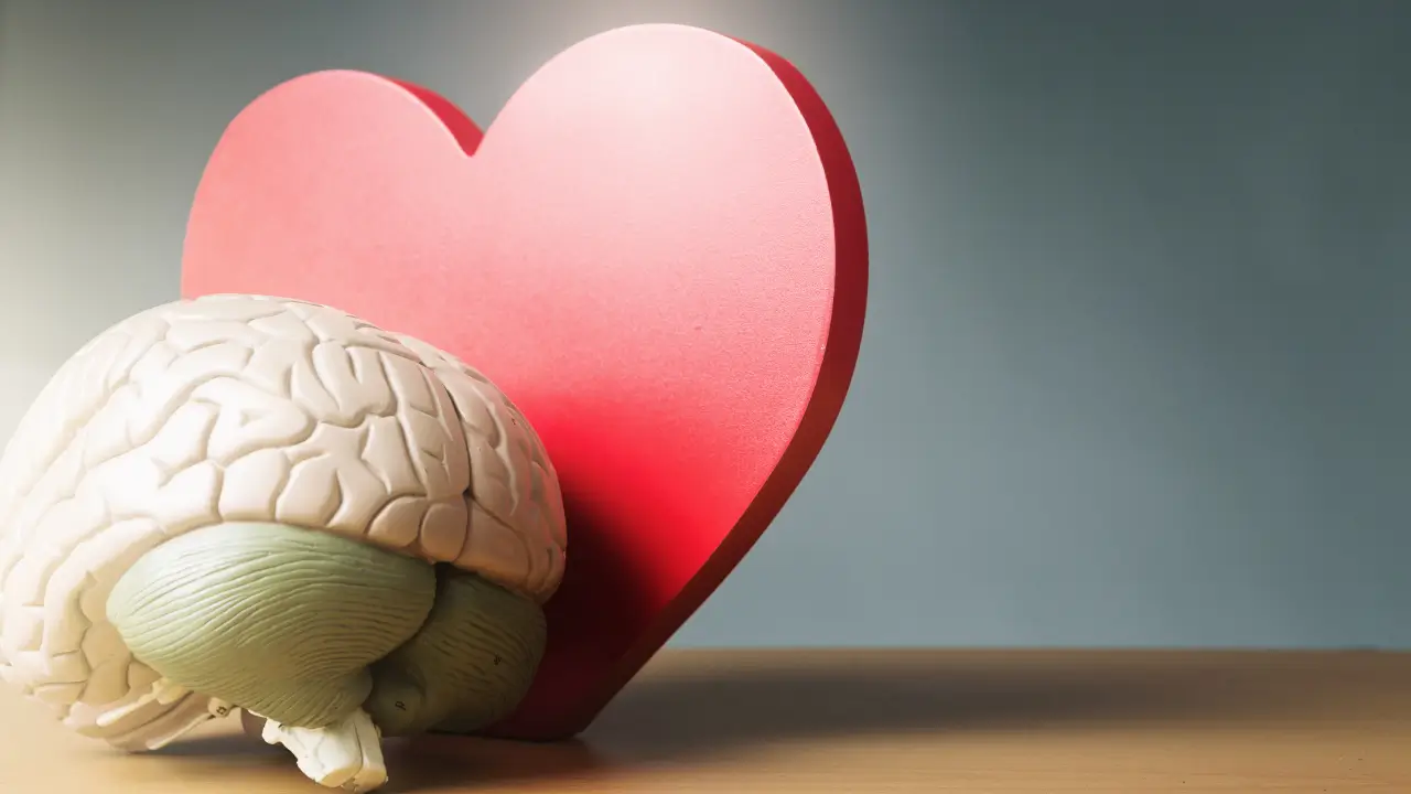 Inteligência emocional representada por uma imagem com um coração e um cérebro