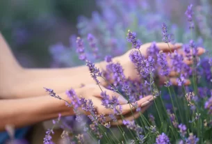 mãos tocando lavanda, meramente ilustrativa para o artigo Quando Deus sussurra esperança.