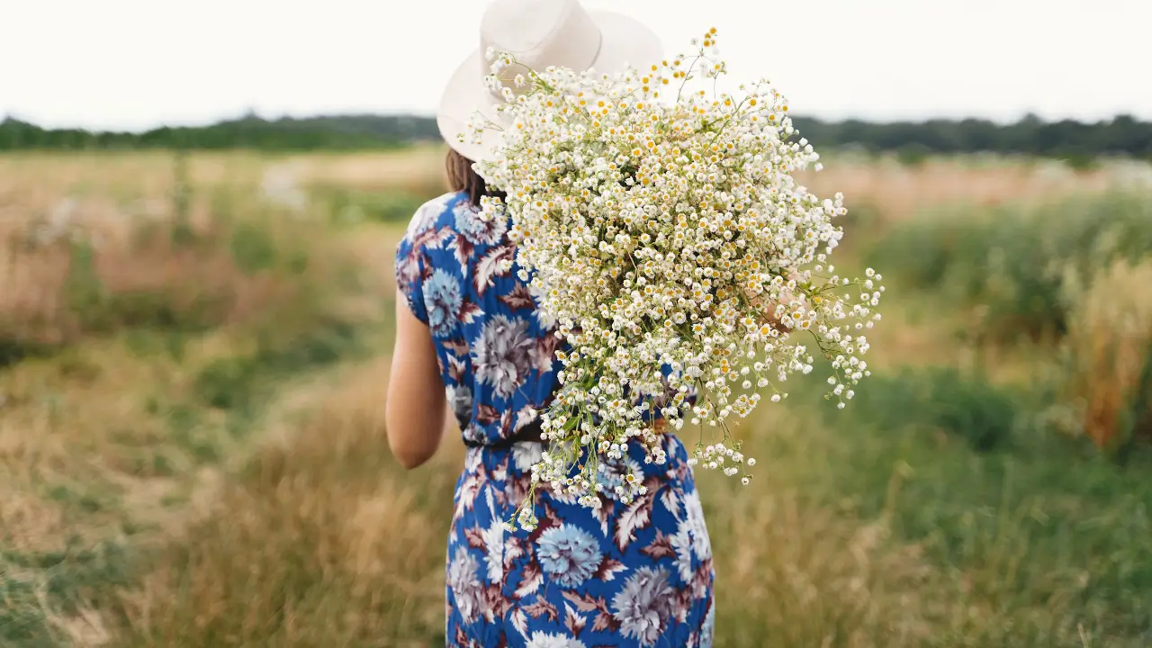 mulher de costas carregando muitas margaridas para simbolizar quem é a mulher aos olhos de Cristo.