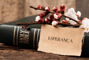 Uma Bíblia com um ramo de flores e uma placa com a palavra esperança.