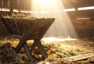 o Cristo que nasce em nós representado por uma manjedoura