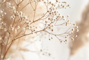 imagem decorativa para ainda há fôlego em você.