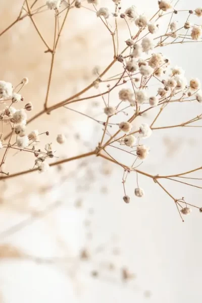 imagem decorativa para ainda há fôlego em você.