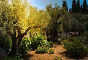 O que o getsêmani revela