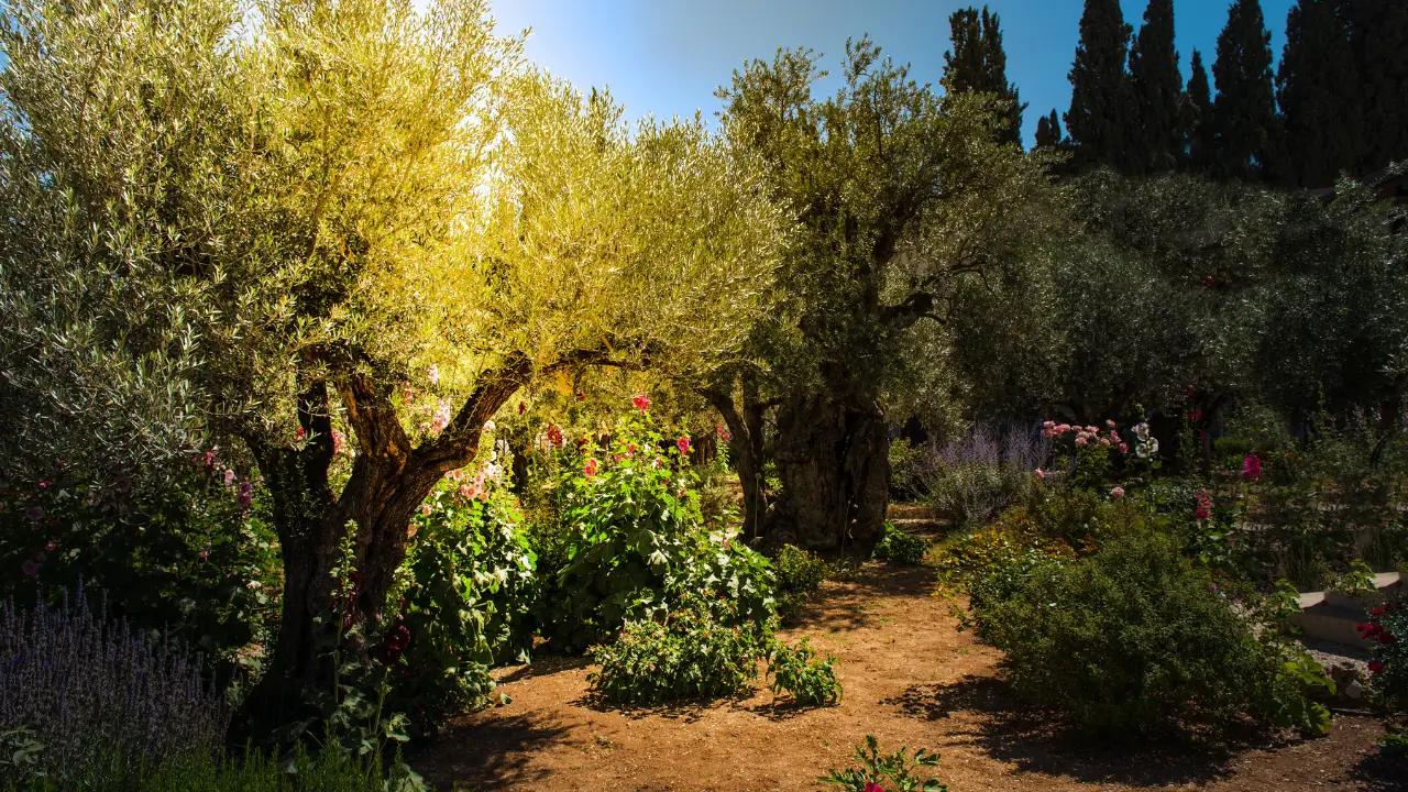 O que o getsêmani revela