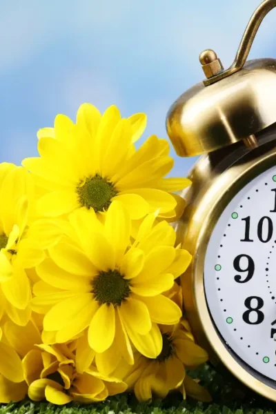 Você não está atrasada no plano de Deus.