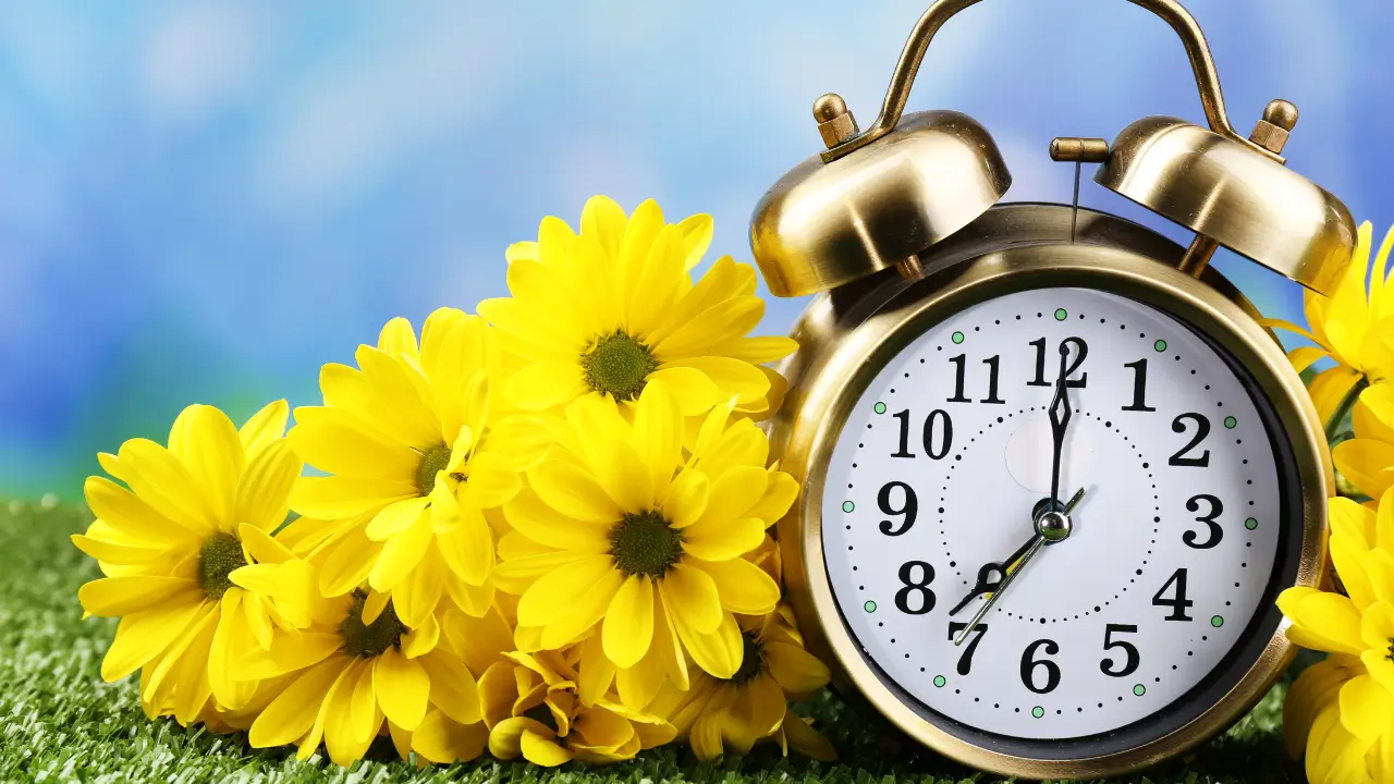 Você não está atrasada no plano de Deus.